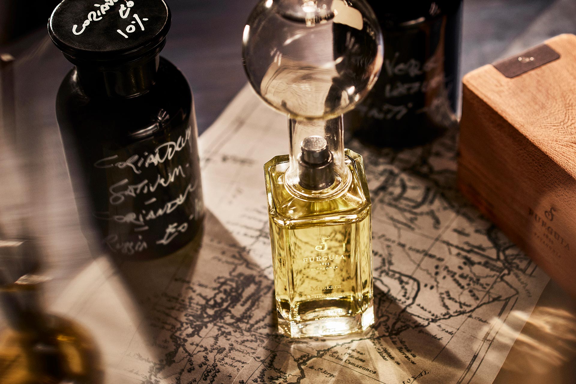 宅配KJ様専用 Fueguia La Joven Noche プーラエッセンシア ユニセックス コスメ・香水・美容¥11,665-www.outthere.travel 宅配KJ様専用 Fueguia La Joven Noche プーラエッセンシア ユニセックス コスメ・香水・美容¥11,665-www.outthere.travel